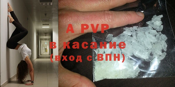 PSILOCYBIN Армянск