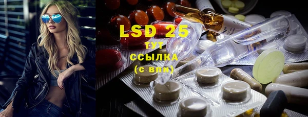 PSILOCYBIN Армянск