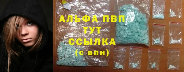 экстази Арсеньев