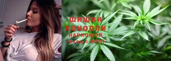 PSILOCYBIN Армянск