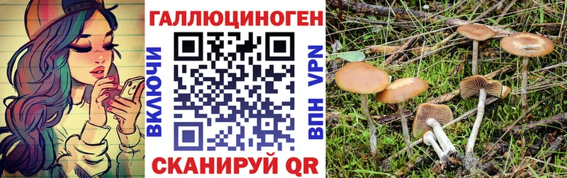 Псилоцибиновые грибы Magic Shrooms  Почеп 